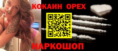 гашик Кандалакша