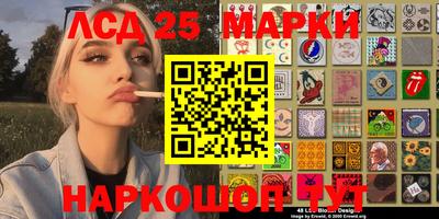 гашик Камышлов