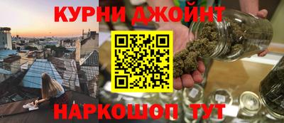 гашик Камышлов