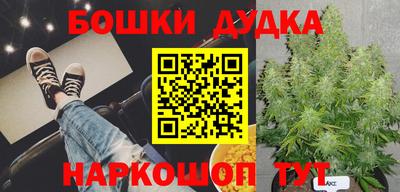 гашик Кандалакша