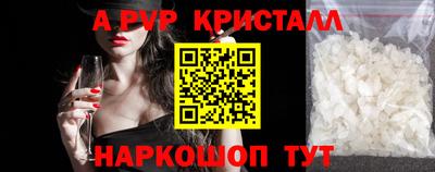 гашик Камышлов